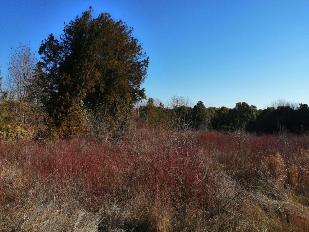 Miramas ~ 120&nbsp;000&nbsp;€