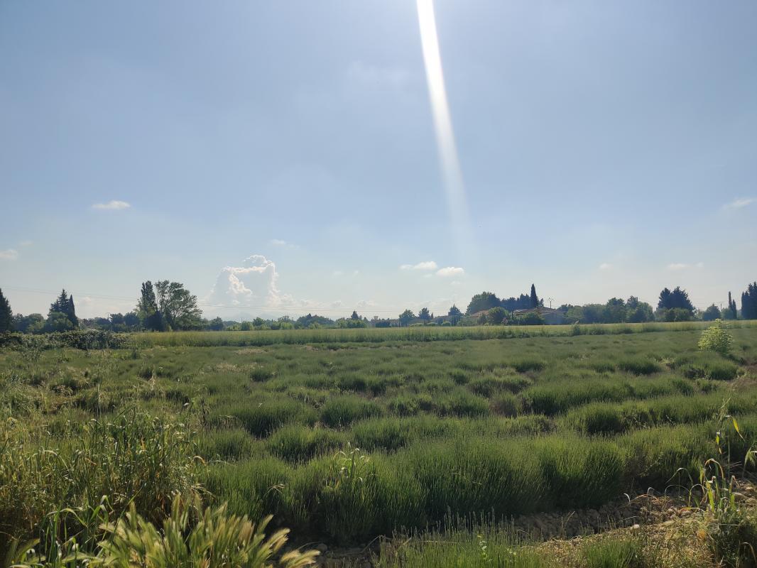 Orange ~ 299&nbsp;850&nbsp;€