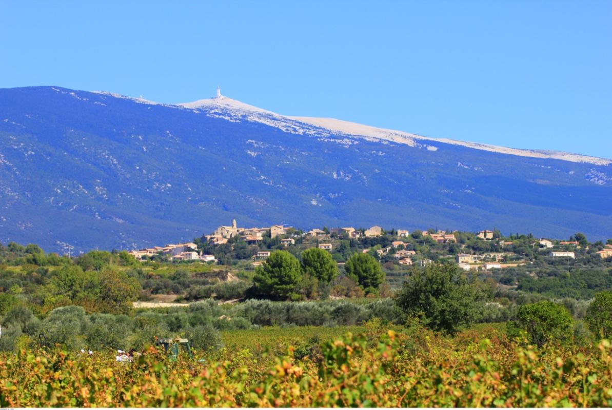 Orange ~ 218&nbsp;000&nbsp;€